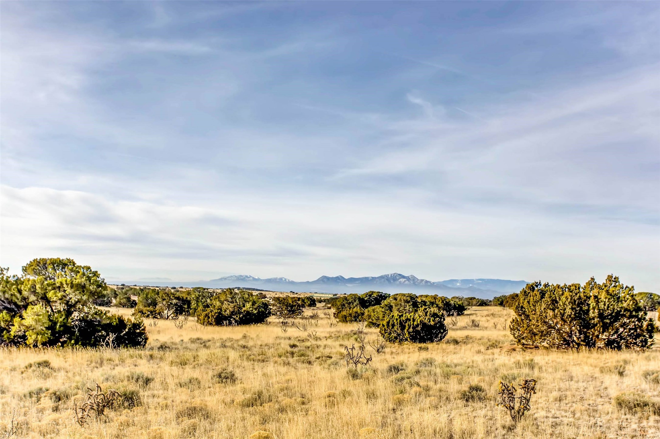 Tren Via, Santa Fe, New Mexico image 7