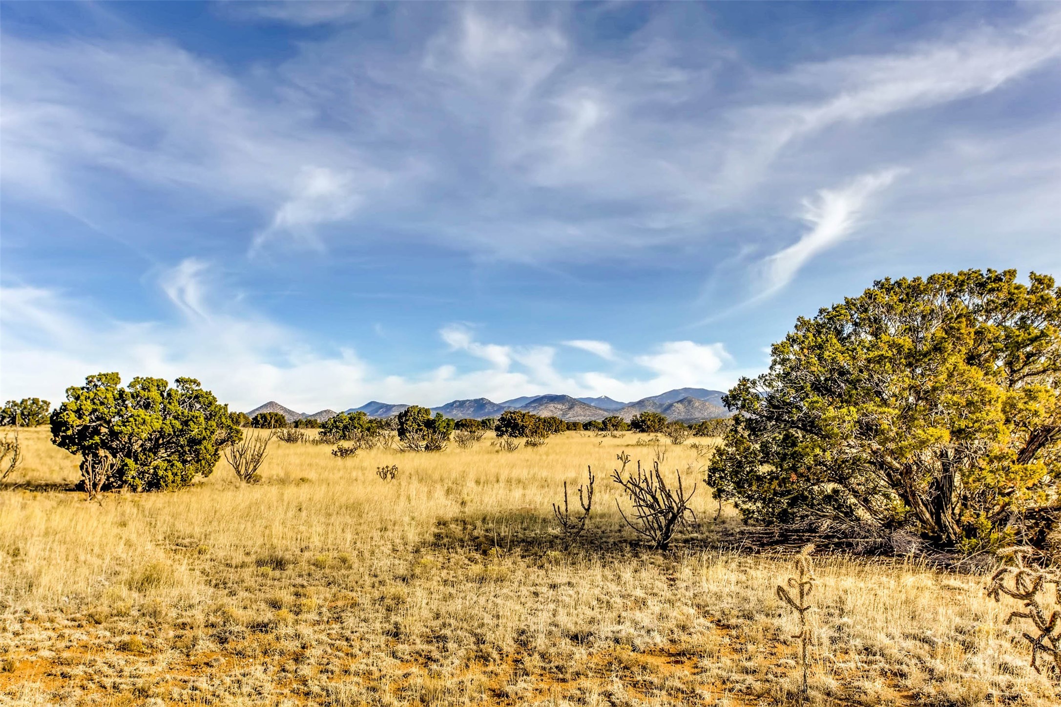 Tren Via, Santa Fe, New Mexico image 27