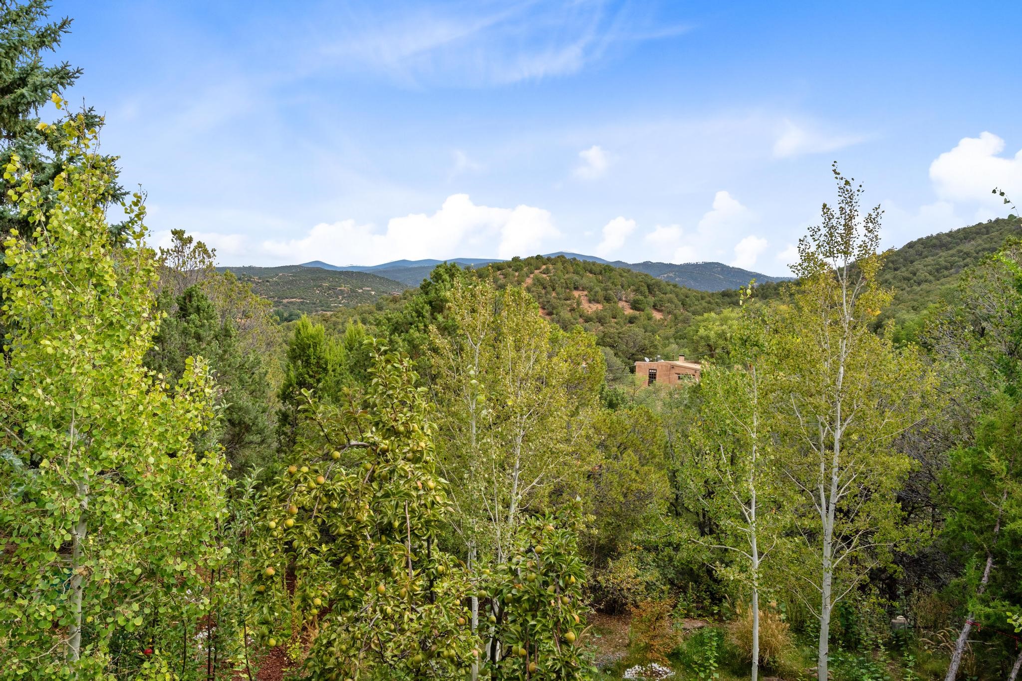 525 Camino Militar, Santa Fe, New Mexico image 31