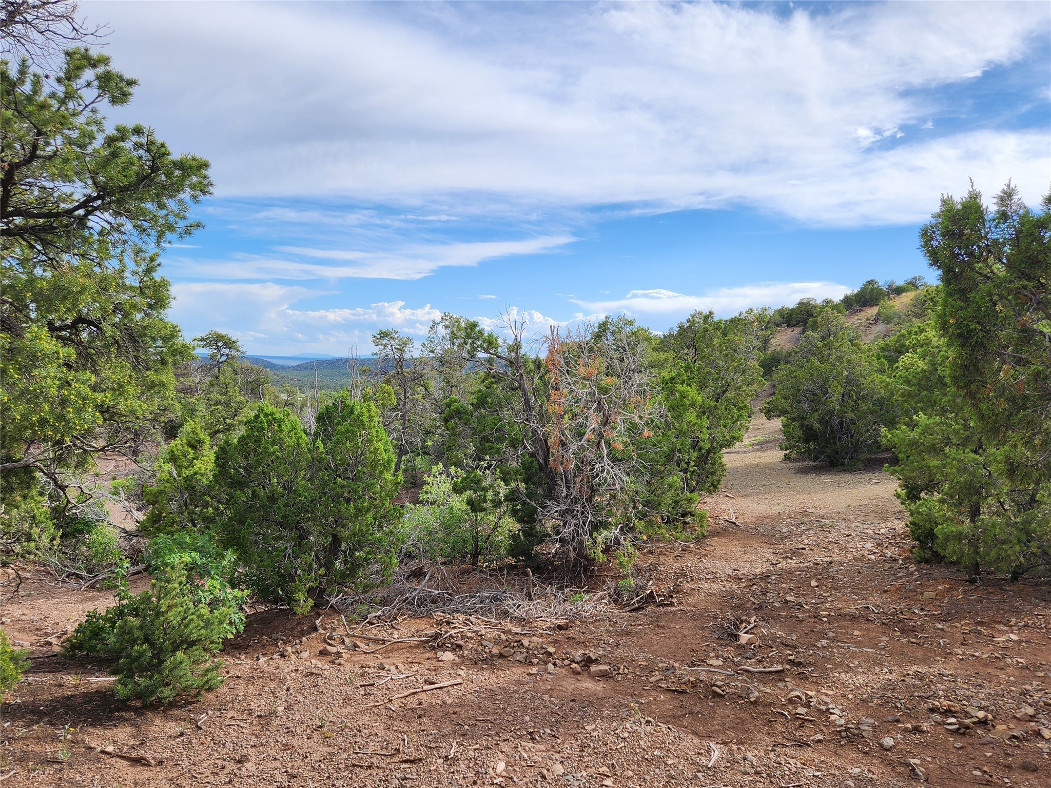3B Calle Gurule, Santa Fe, New Mexico image 22