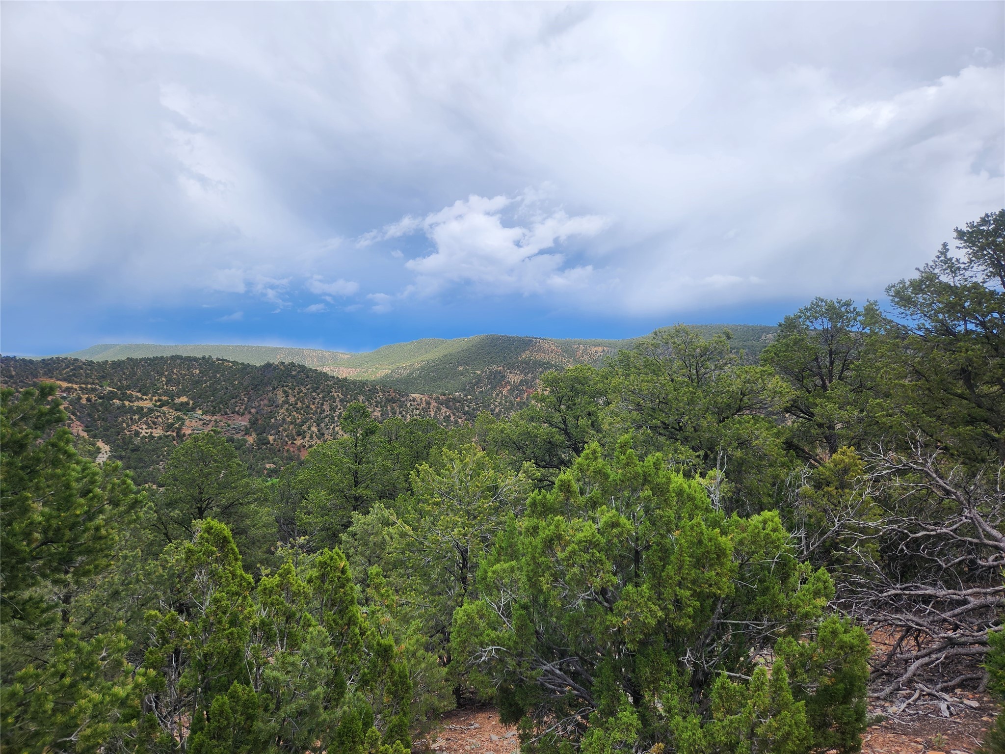 3B Calle Gurule, Santa Fe, New Mexico image 14