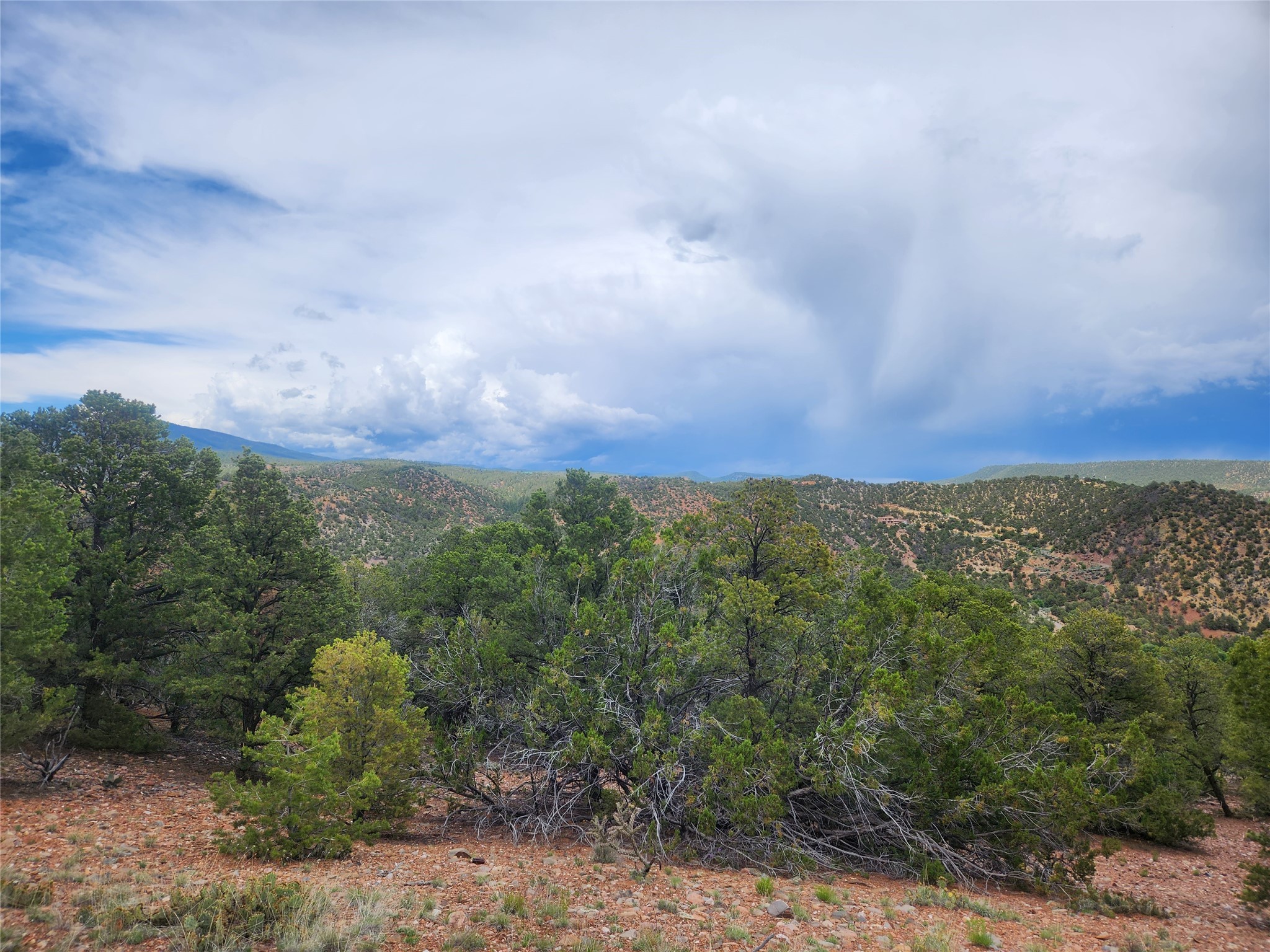 3B Calle Gurule, Santa Fe, New Mexico image 4