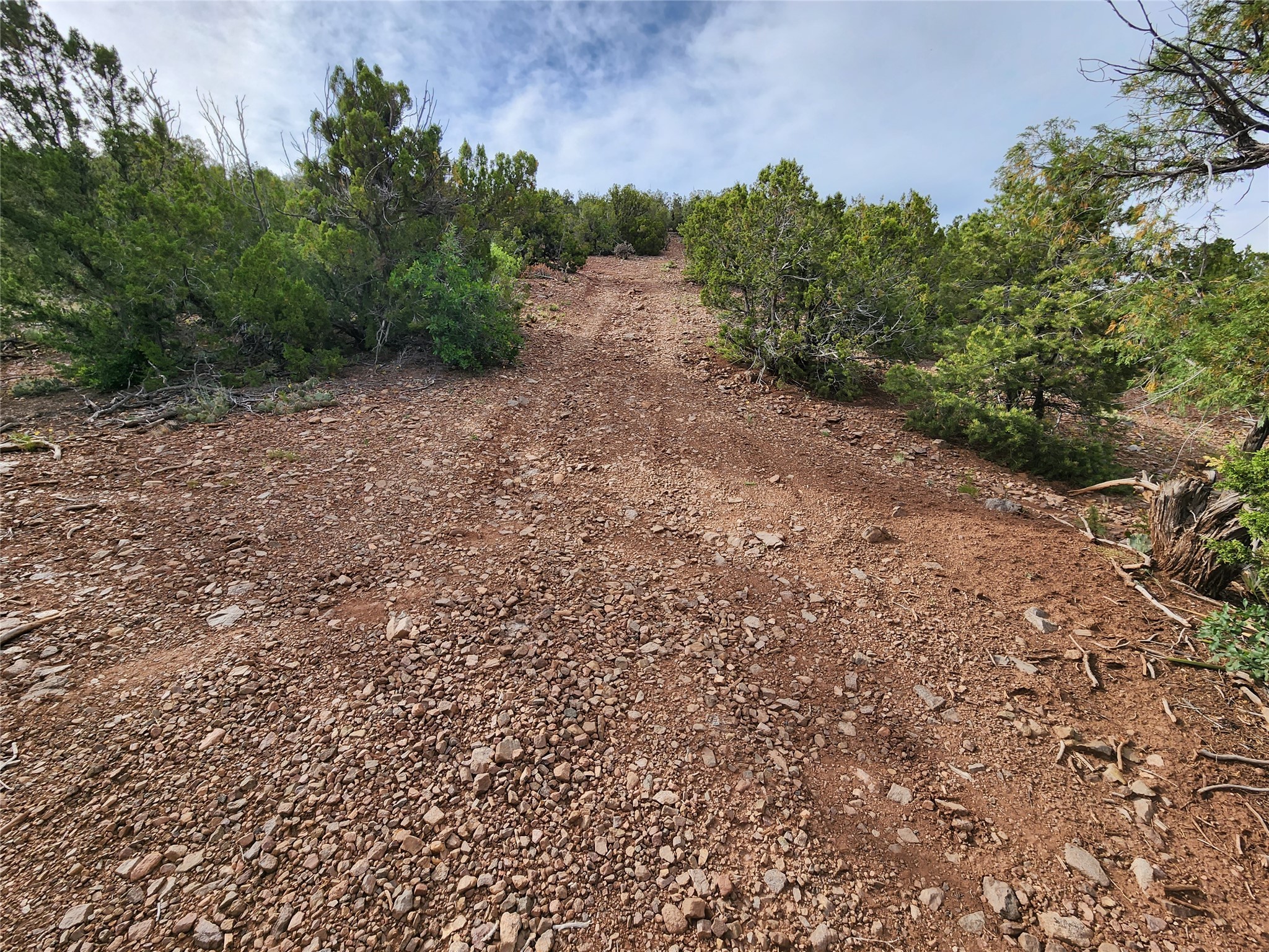 3B Calle Gurule, Santa Fe, New Mexico image 21