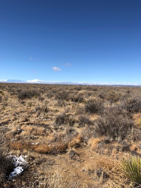 10 Acres Burroughs Road, McIntosh, New Mexico image 8