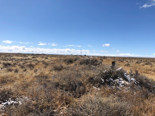 10 Acres Burroughs Road, McIntosh, New Mexico image 3