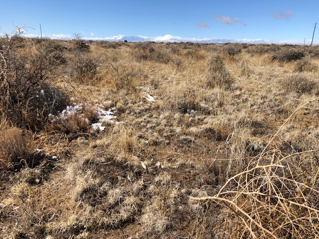 10 Acres Burroughs Road, McIntosh, New Mexico image 6