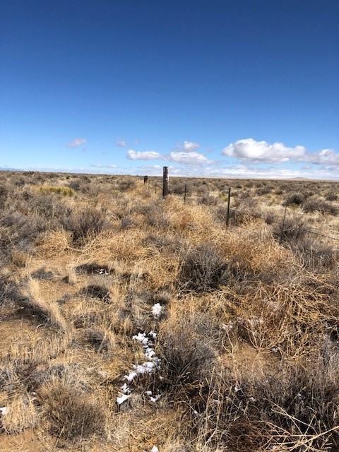 10 Acres Burroughs Road, McIntosh, New Mexico image 7