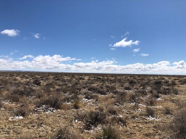 10 Acres Burroughs Road, McIntosh, New Mexico image 2