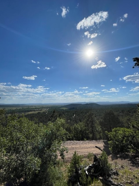 TBD Ticonderoga, Chama, New Mexico image 3