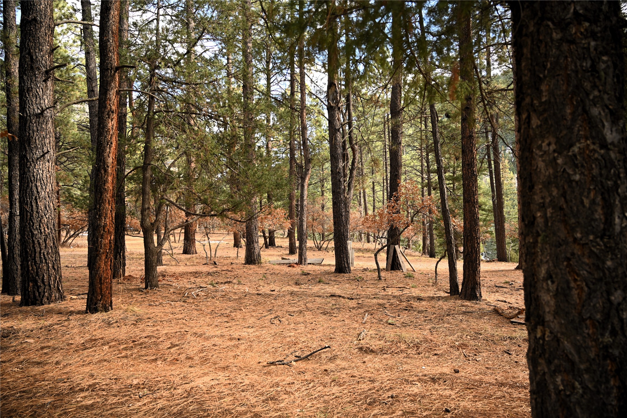 688 C State Rd 512, Chama, New Mexico image 3