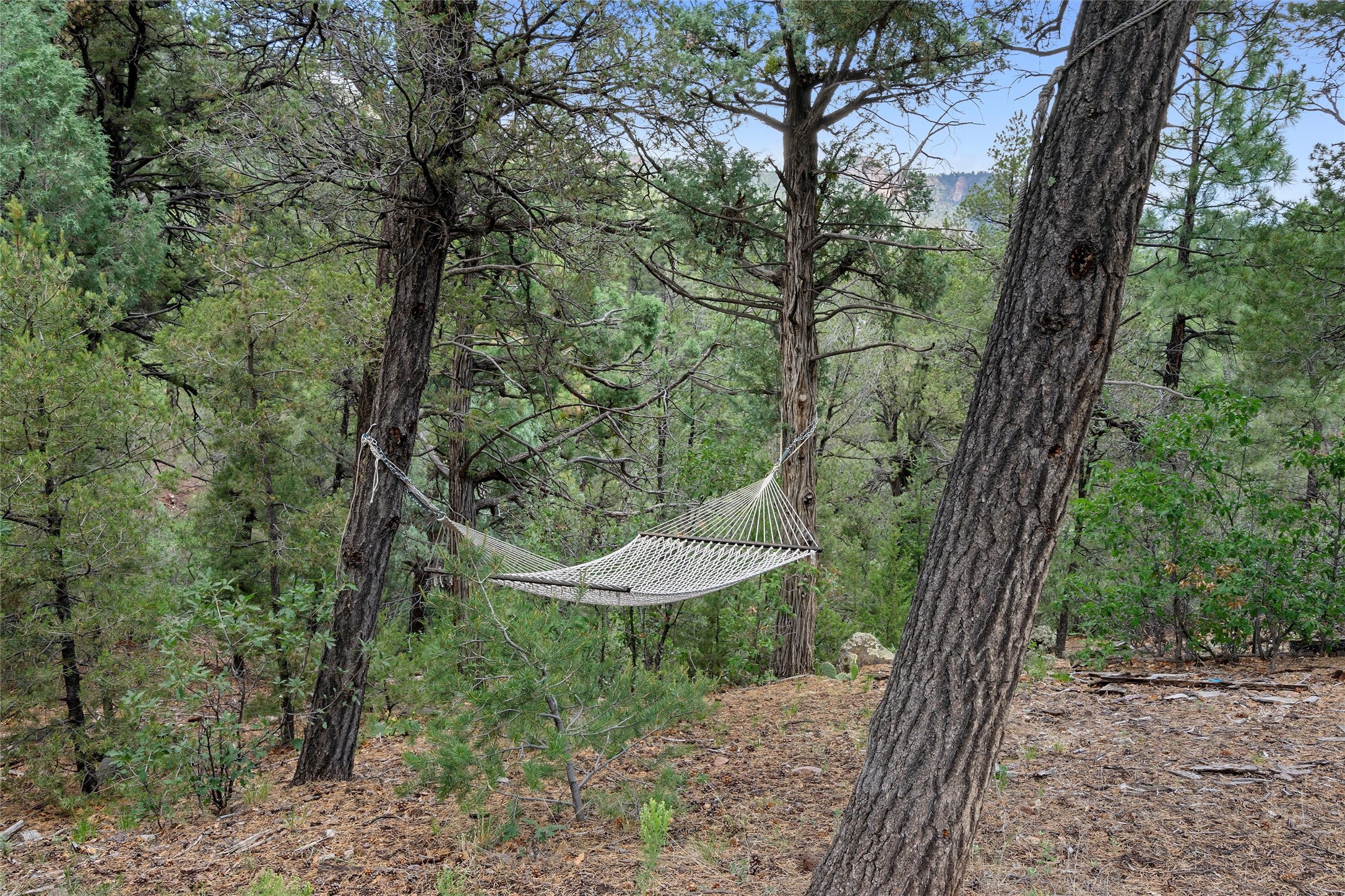 1344 Ponderosa Drive, Jemez Springs, New Mexico image 8