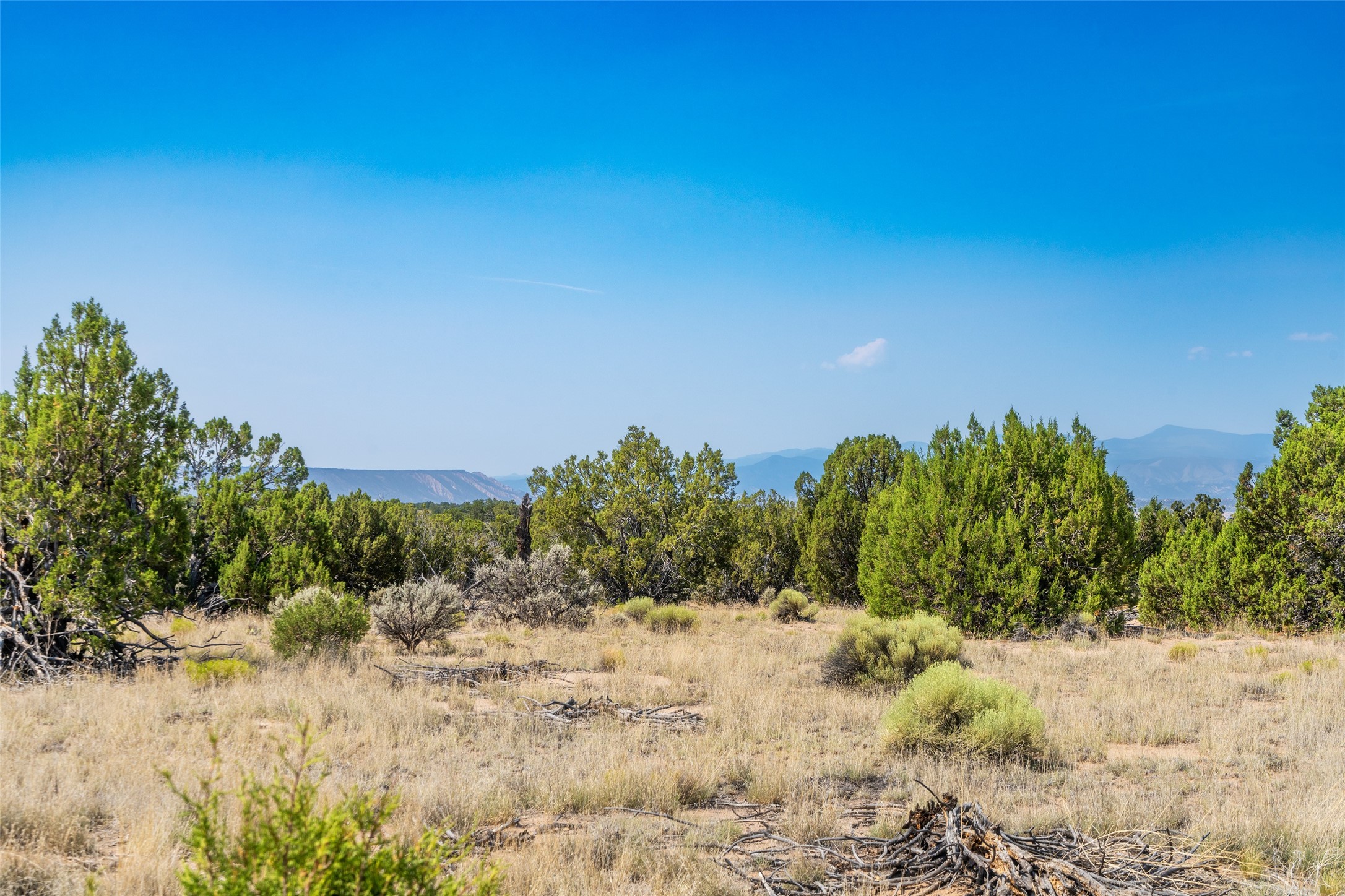 Ojo Caliente, New Mexico 87549, United States, ,Land,Active,191732