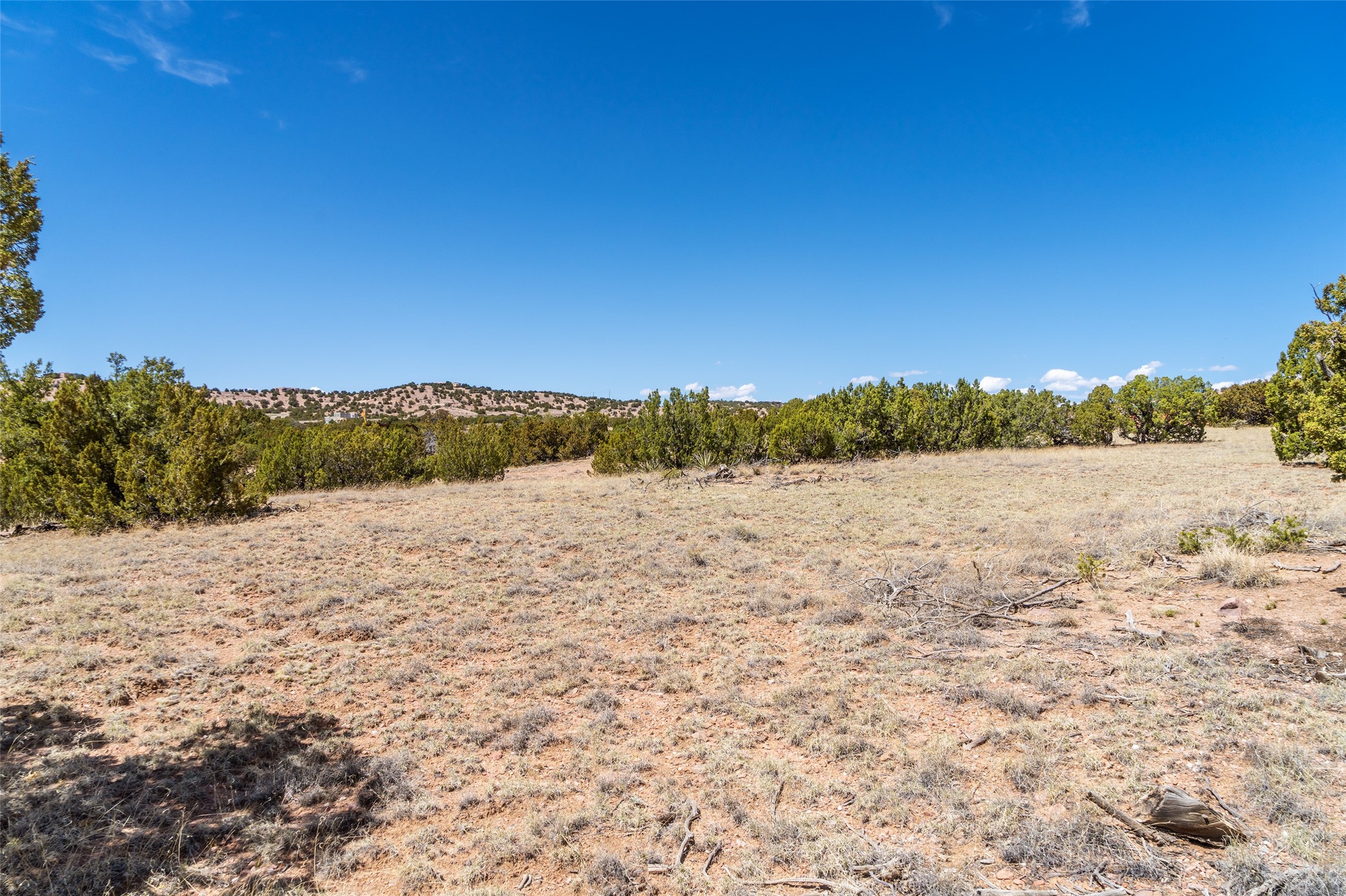 53 Cerro Alto Rd, Lamy, New Mexico image 14