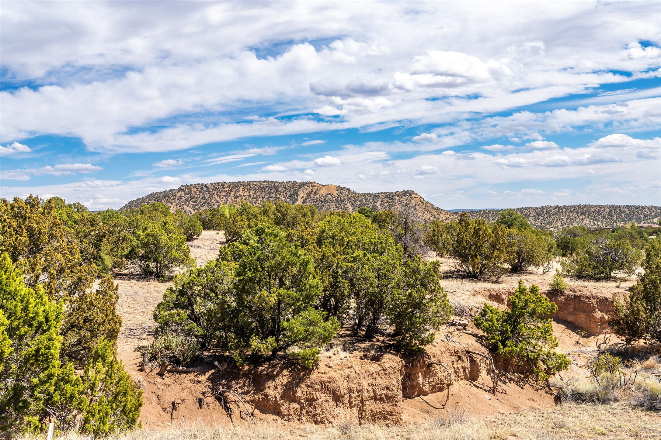 53 Cerro Alto Rd, Lamy, New Mexico image 16