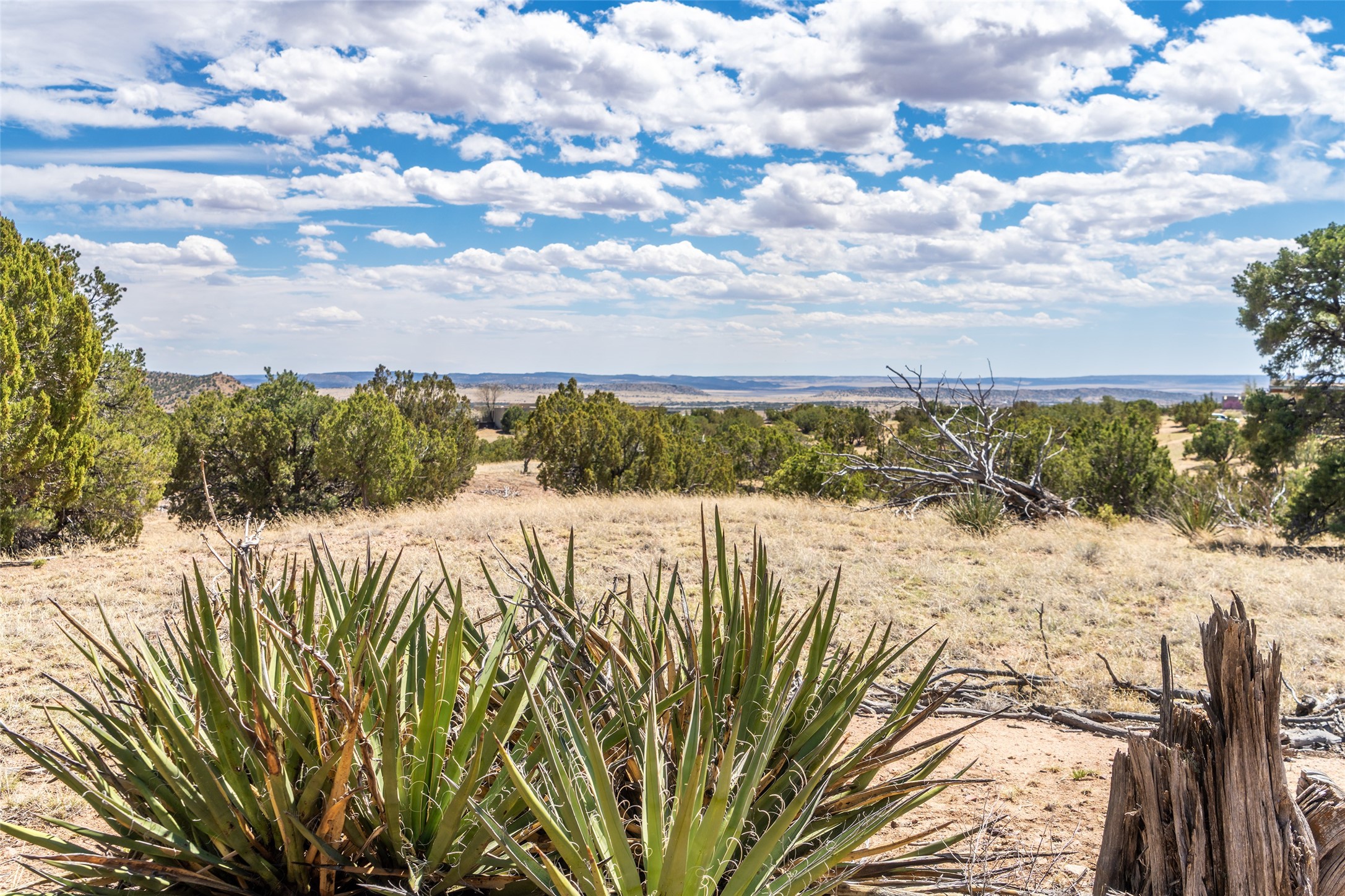 53 Cerro Alto Rd, Lamy, New Mexico image 12