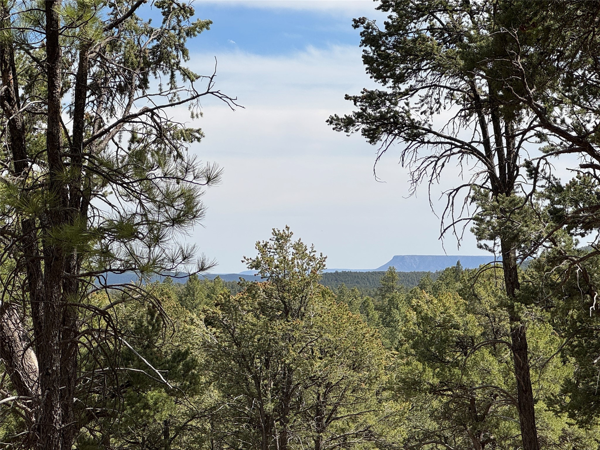 Lot 26 Birds Of A Feather, Pecos, New Mexico image 6