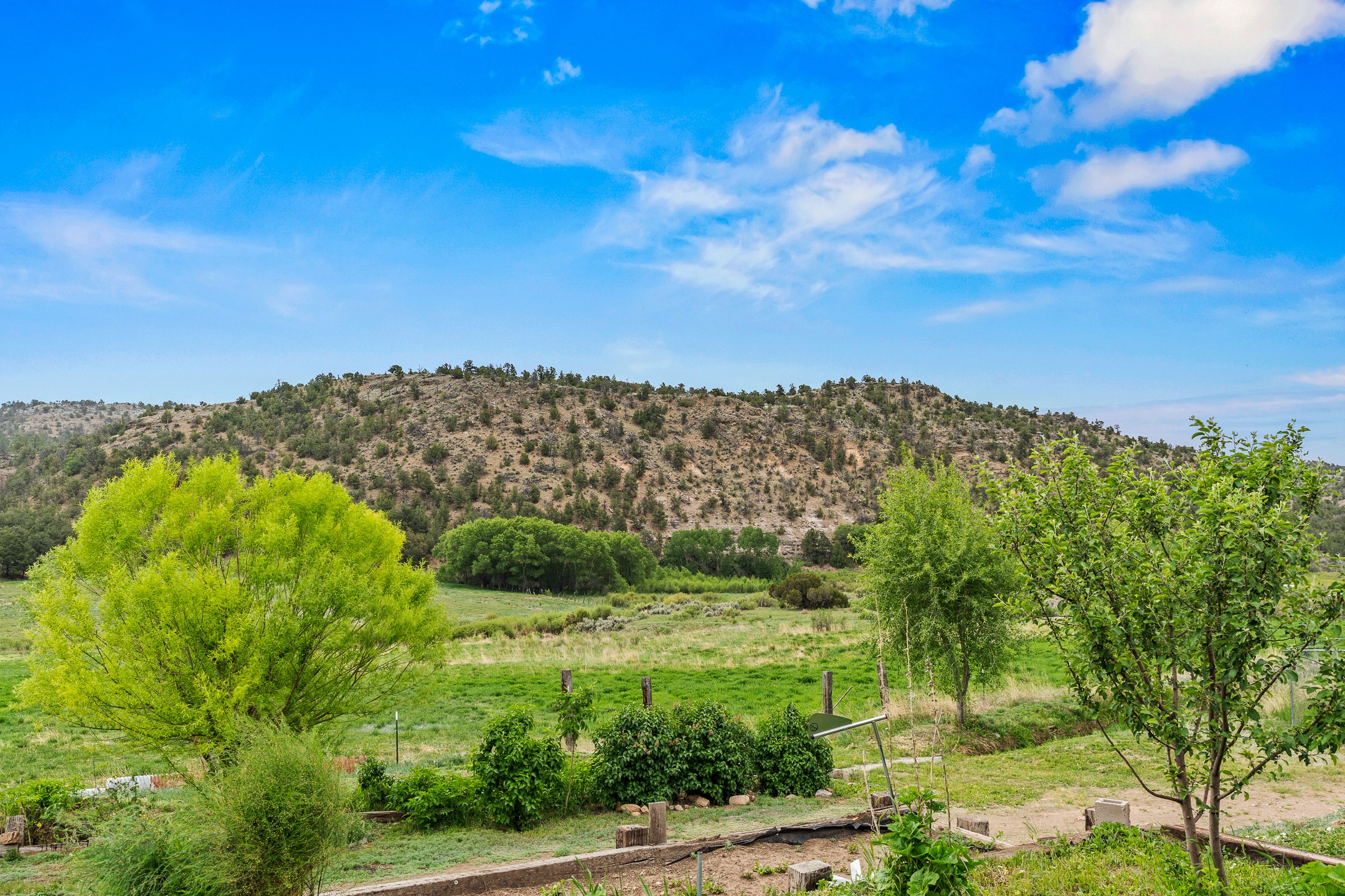 248 State Road 341, La Madera, New Mexico image 12