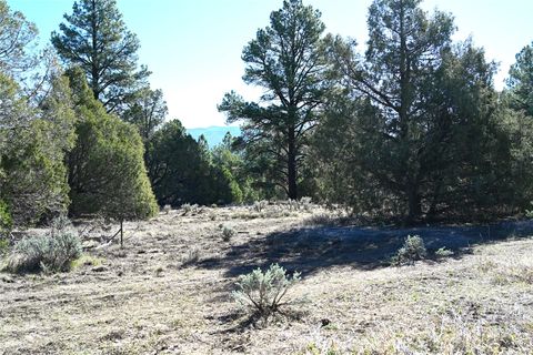 Vacant Land For Sale - 00 Nm Sr 64<br/> Rio Arriba County, Tierra Amarilla, NM 87575