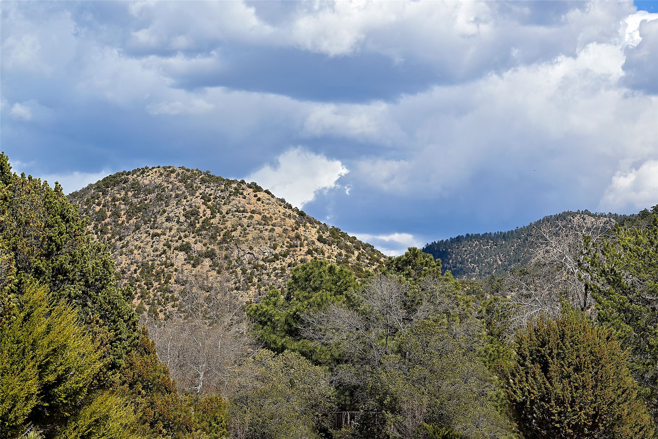 681 Callecita Jicarilla, Santa Fe, New Mexico image 31