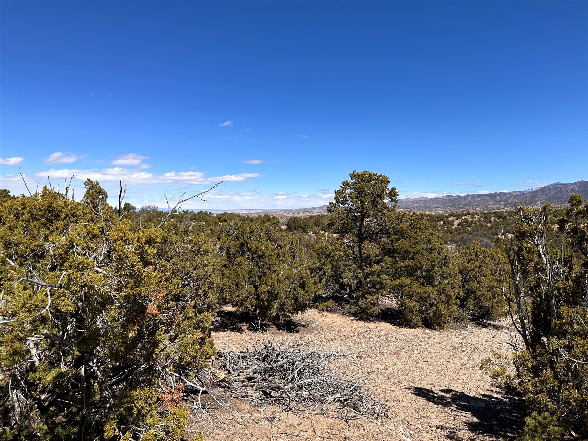 4020 Via Verdi, Lot 233, Santa Fe, New Mexico image 2
