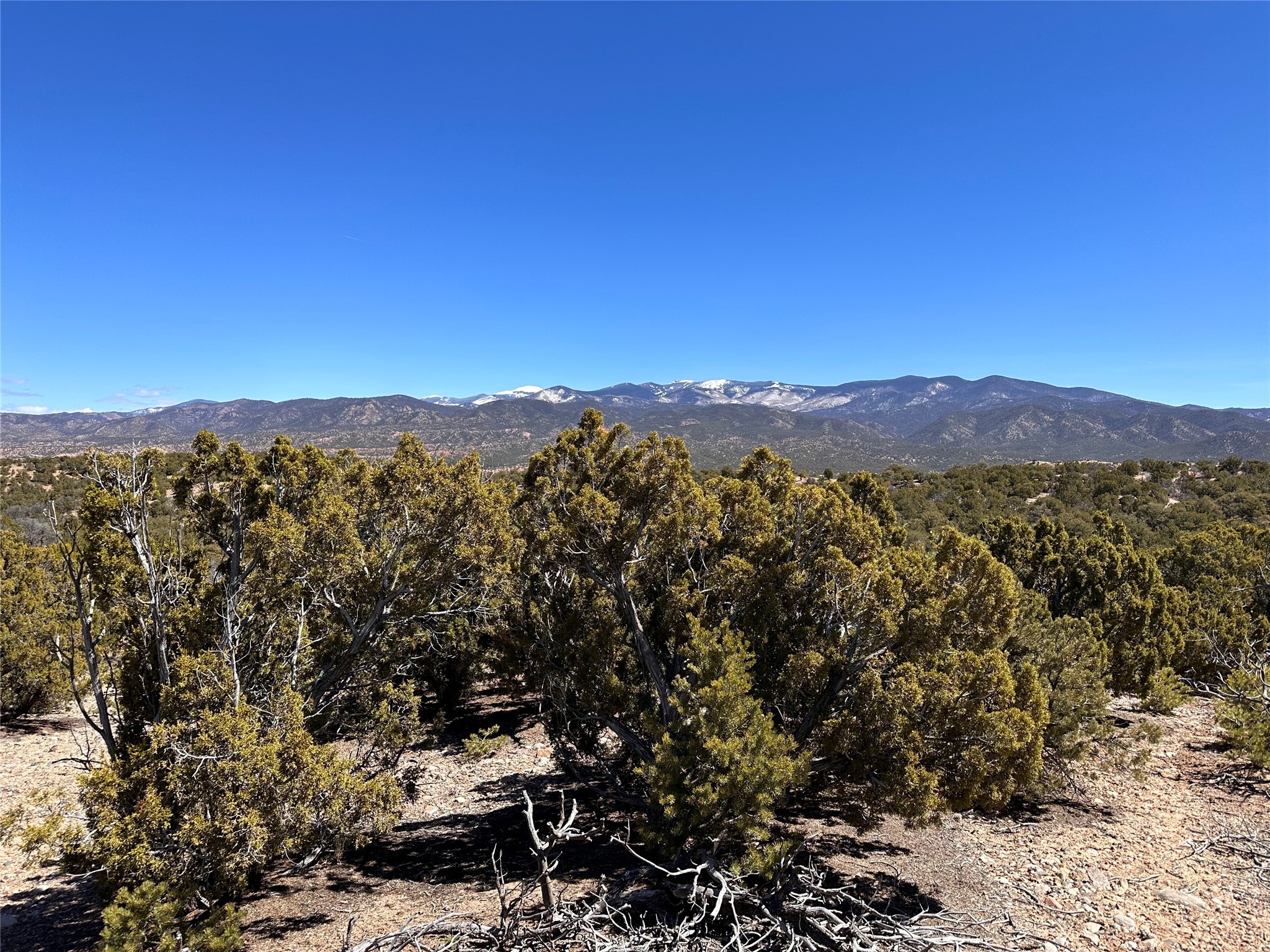 4020 Via Verdi, Lot 233, Santa Fe, New Mexico image 1