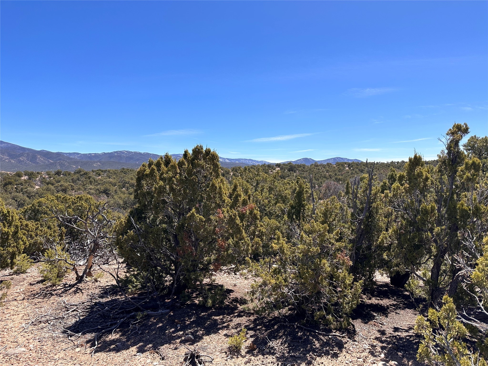 4020 Via Verdi, Lot 233, Santa Fe, New Mexico image 3