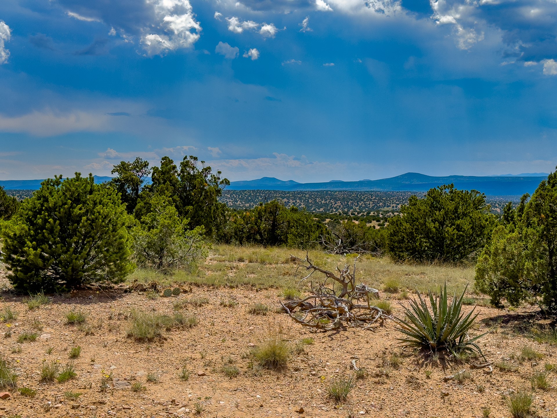 87 Calle Josephina, Santa Fe, New Mexico image 22