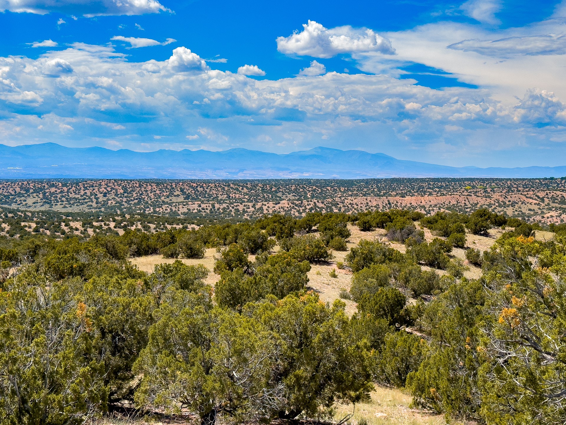 87 Calle Josephina, Santa Fe, New Mexico image 19