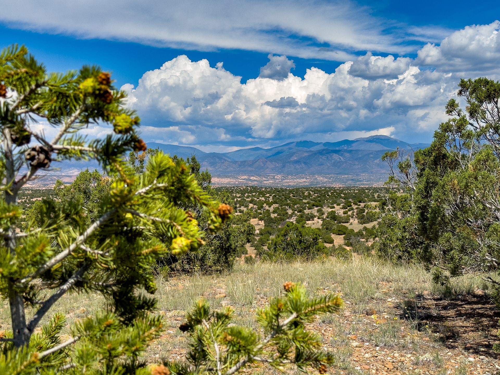 87 Calle Josephina, Santa Fe, New Mexico image 18