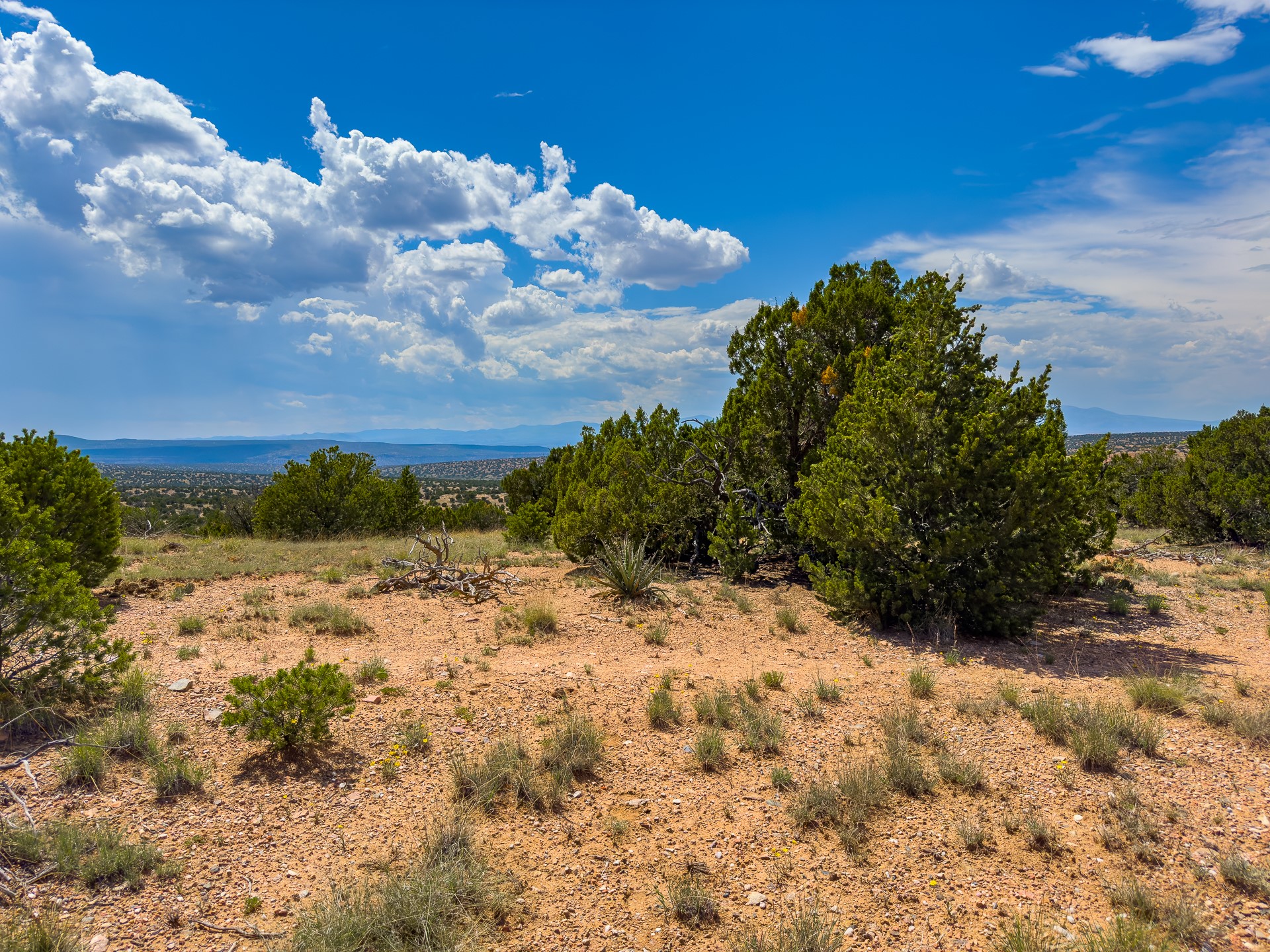 87 Calle Josephina, Santa Fe, New Mexico image 21