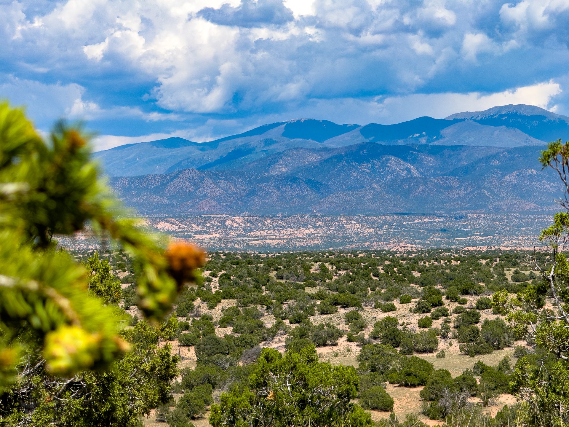 87 Calle Josephina, Santa Fe, New Mexico image 1