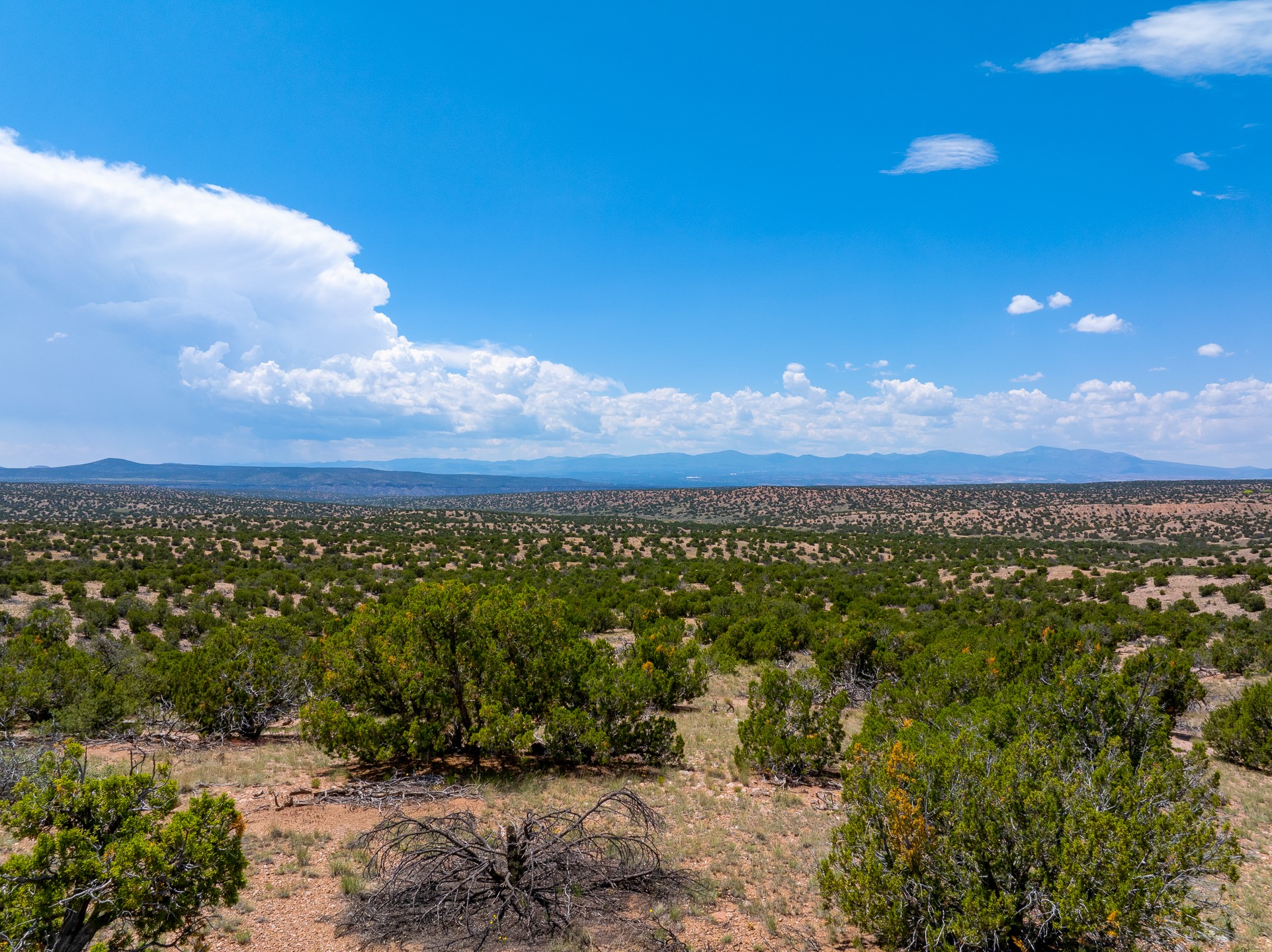 87 Calle Josephina, Santa Fe, New Mexico image 6