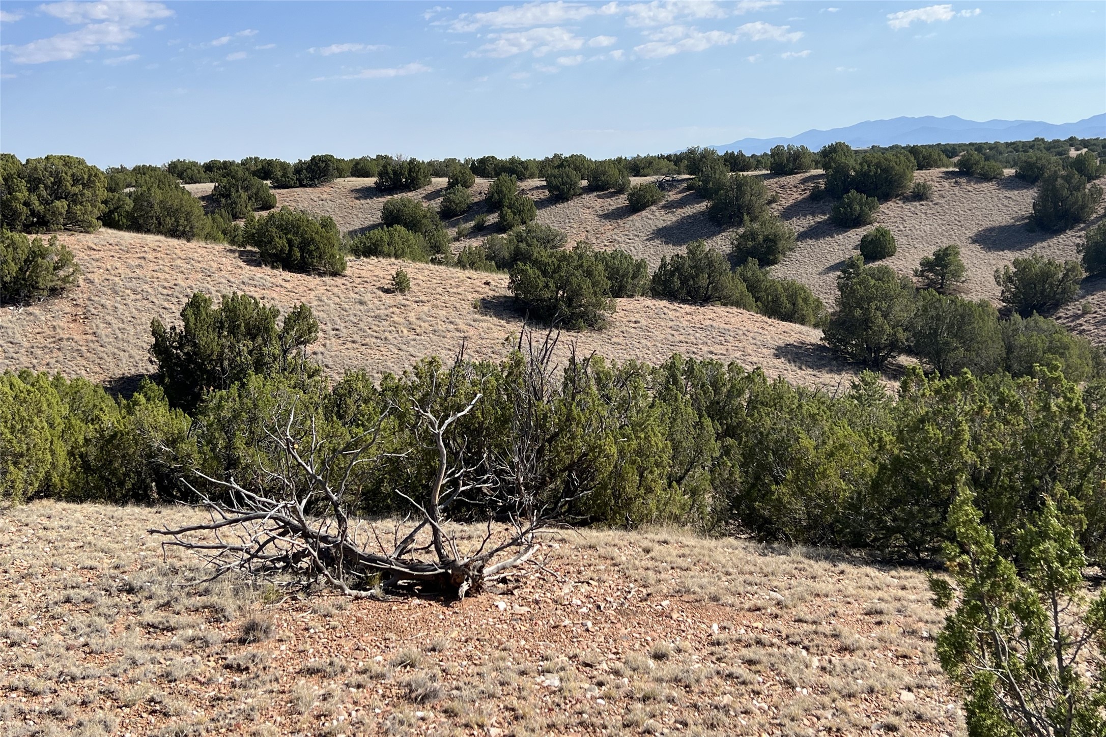 3 Dancing Hawk Drive, Pecos, New Mexico image 32