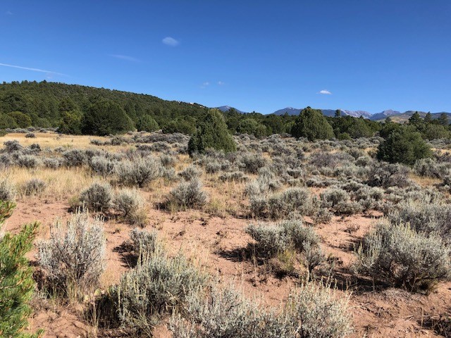 6 One Acre Lots Nm 76, Truchas, New Mexico image 10