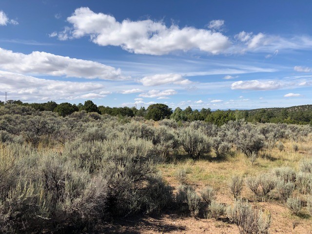 6 One Acre Lots Nm 76, Truchas, New Mexico image 5