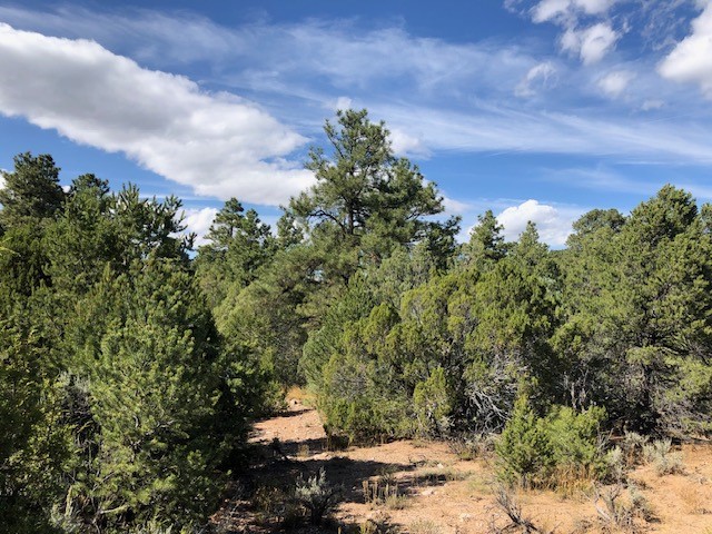 6 One Acre Lots Nm 76, Truchas, New Mexico image 14