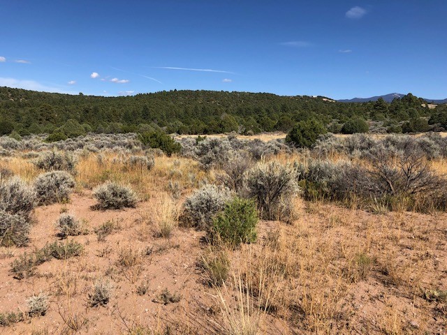 6 One Acre Lots Nm 76, Truchas, New Mexico image 9