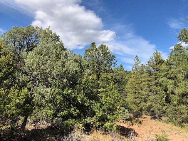 6 One Acre Lots Nm 76, Truchas, New Mexico image 29