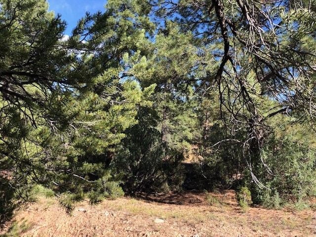 6 One Acre Lots Nm 76, Truchas, New Mexico image 26