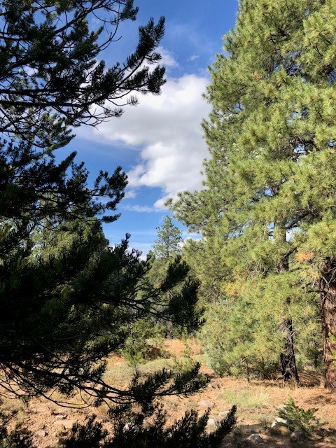 6 One Acre Lots Nm 76, Truchas, New Mexico image 32