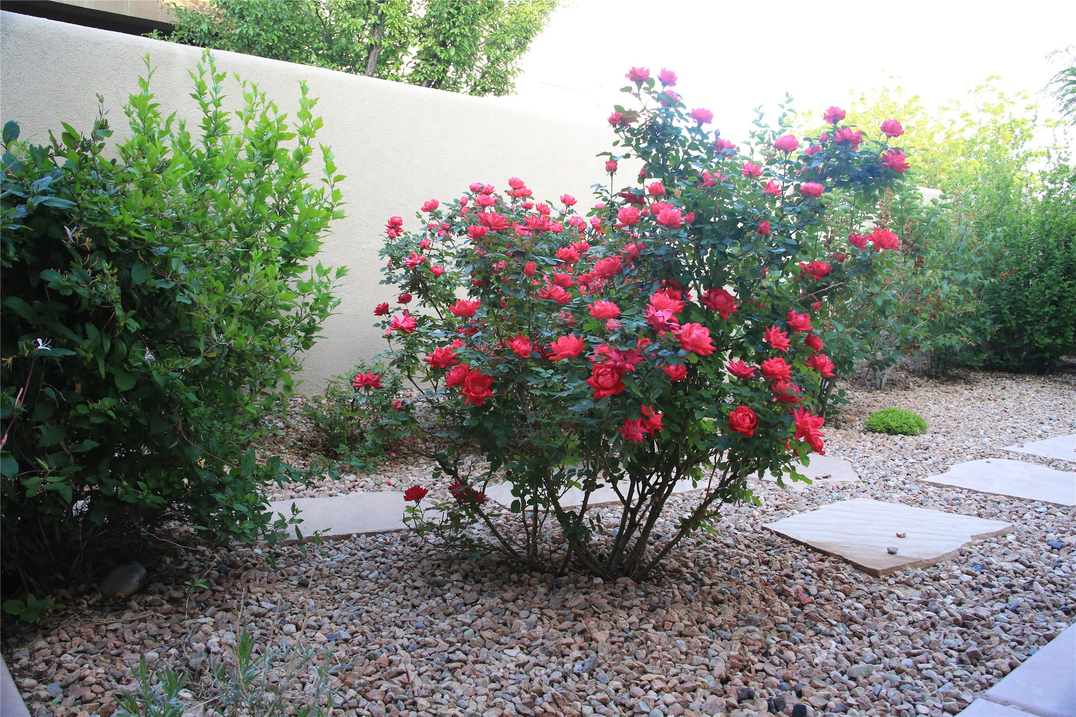 11 W Avenida Sebastian, Santa Fe, New Mexico image 27