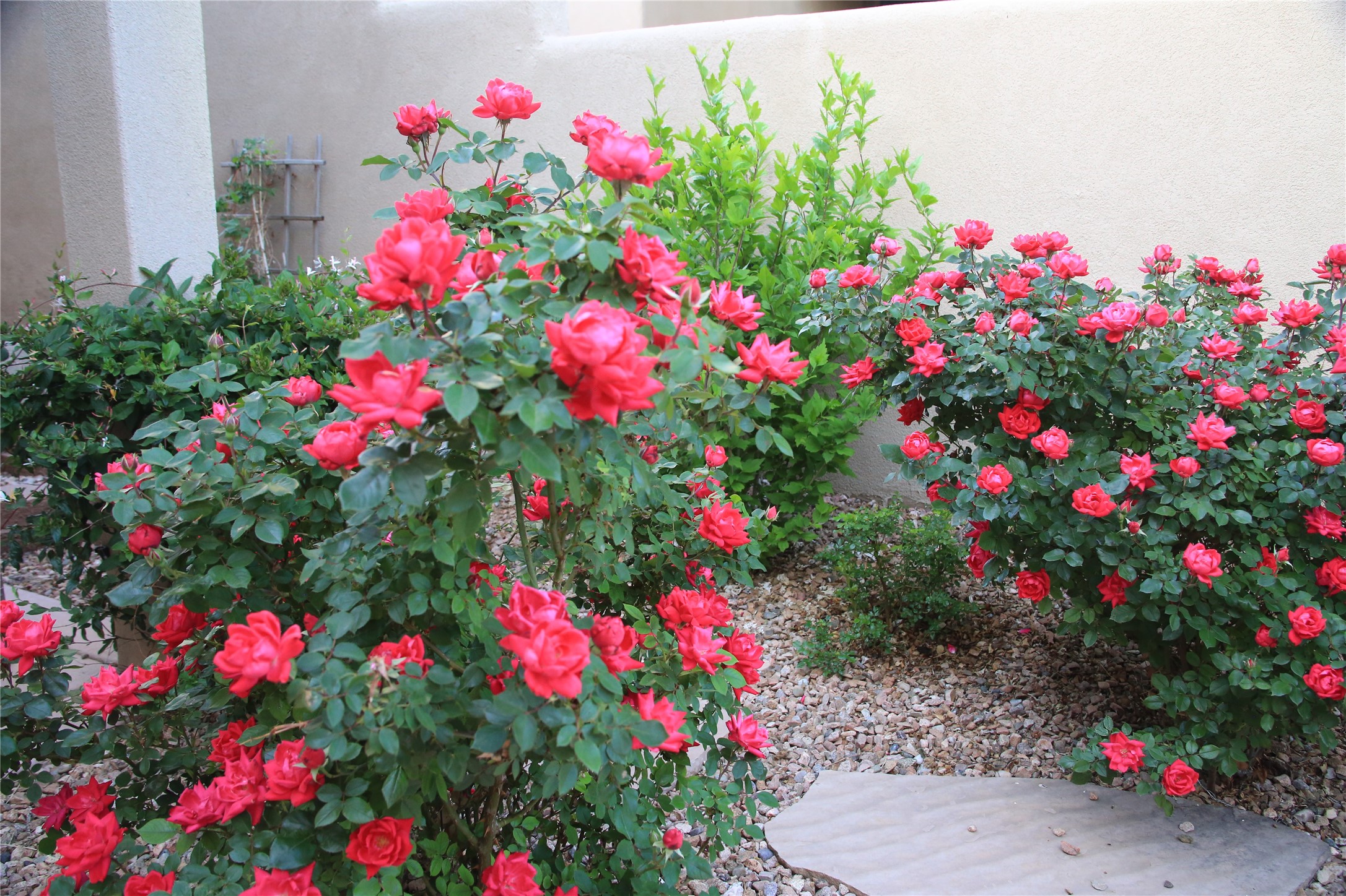 11 W Avenida Sebastian, Santa Fe, New Mexico image 26