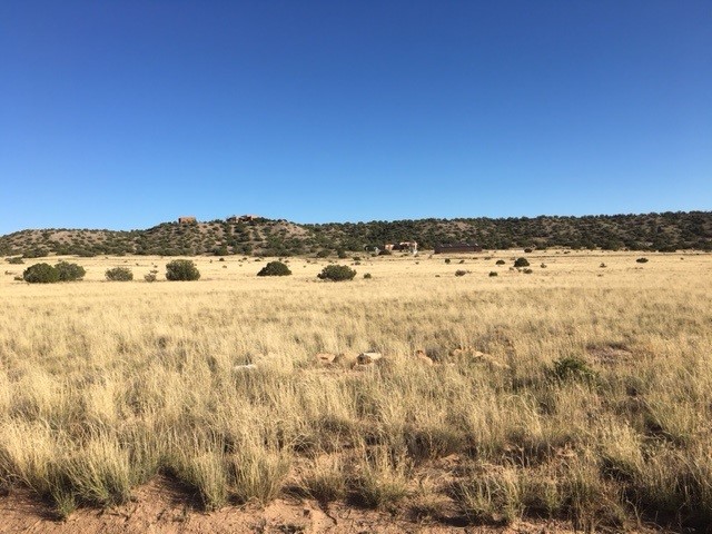 Lot 46 Big Fork Road, Abiquiu, New Mexico image 6