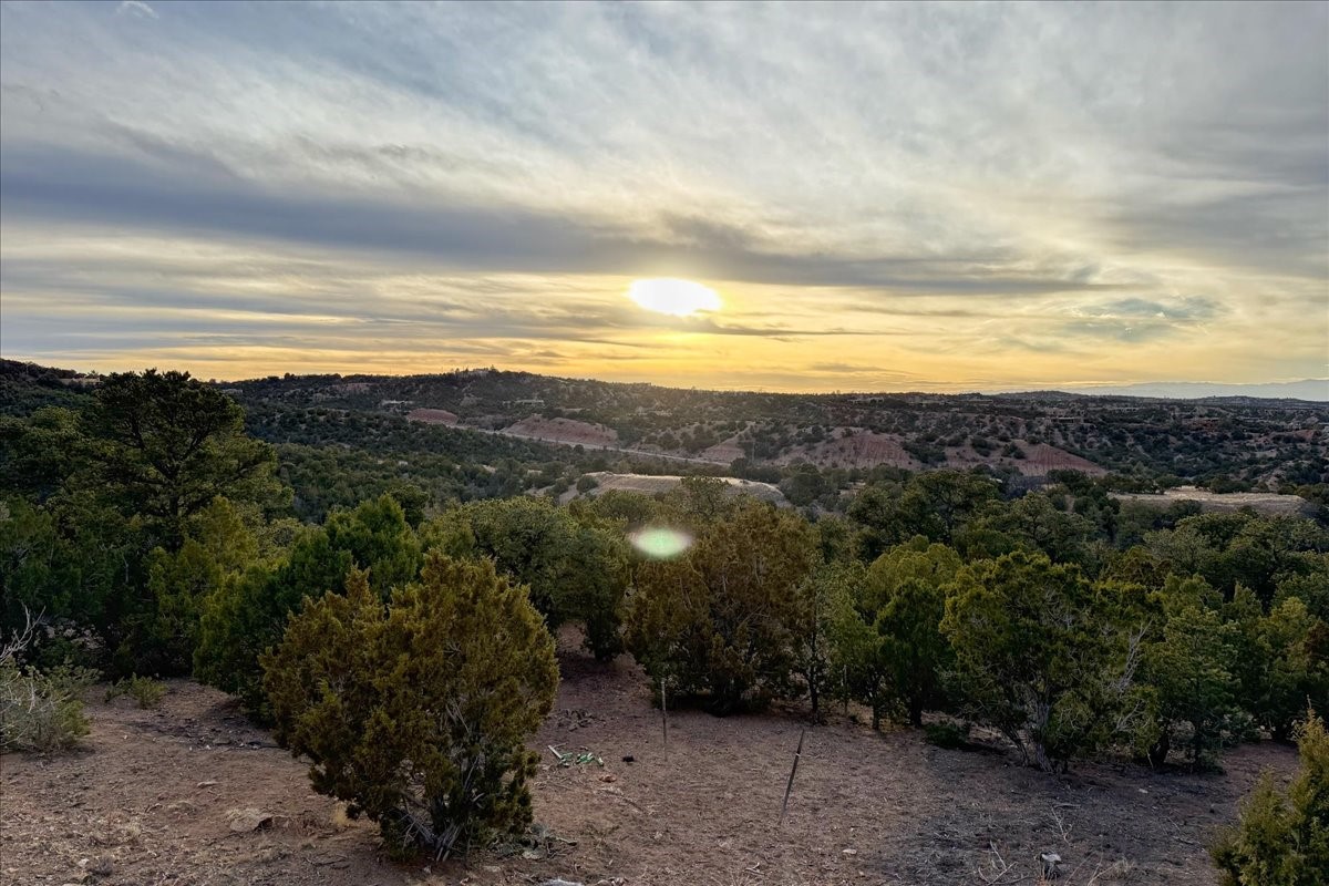 57 Lodge Trail, Santa Fe, New Mexico image 11