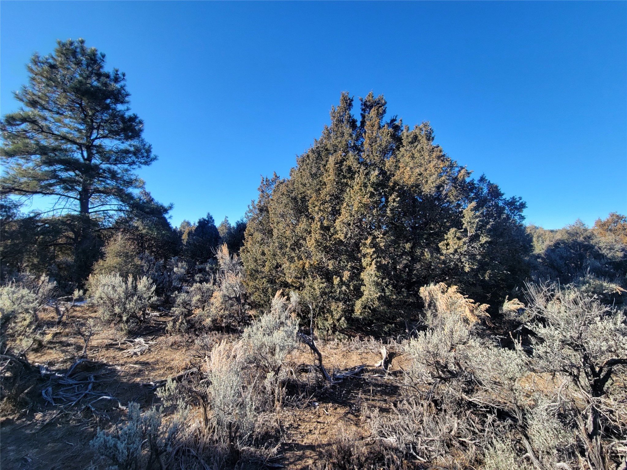 Hwy 64, Tierra Amarilla, New Mexico image 29