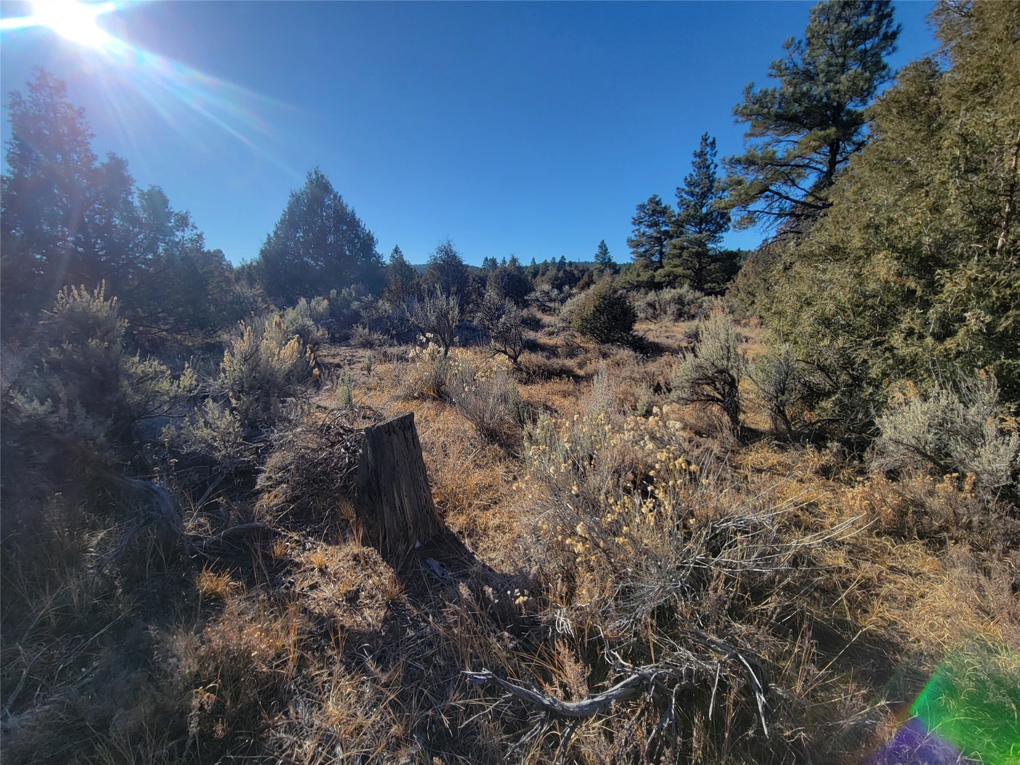 Hwy 64, Tierra Amarilla, New Mexico image 3