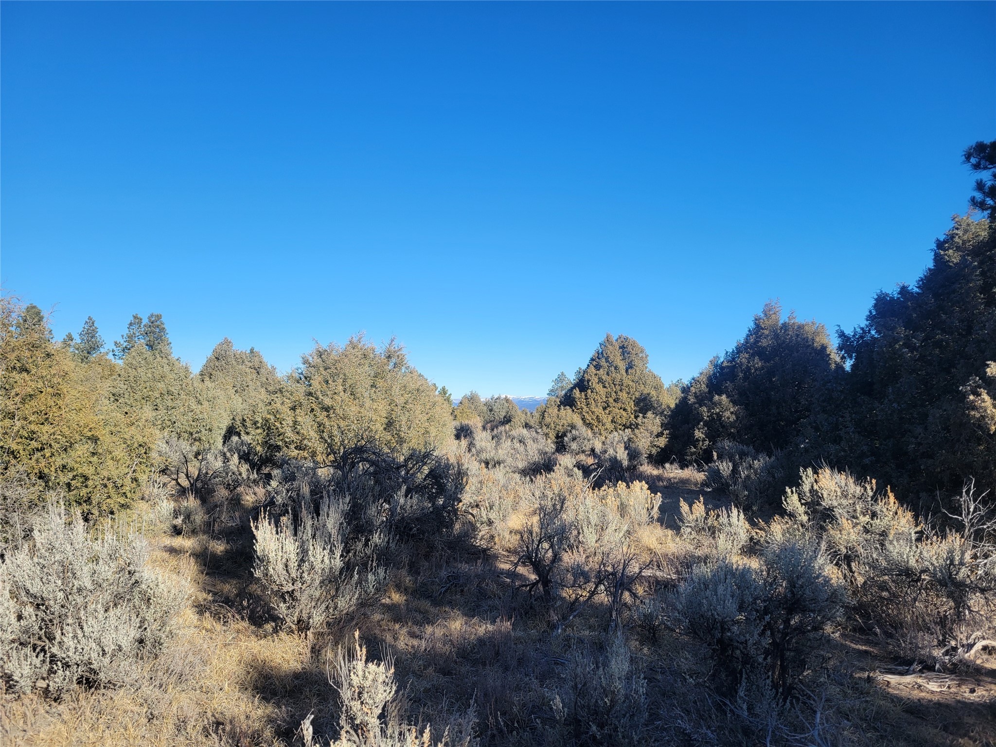 Hwy 64, Tierra Amarilla, New Mexico image 27