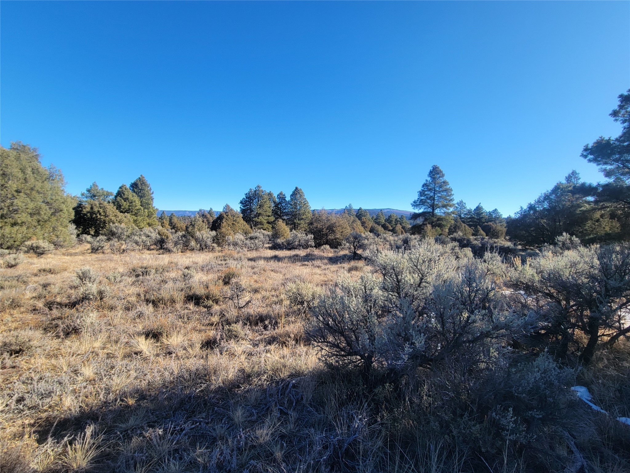 Hwy 64, Tierra Amarilla, New Mexico image 47