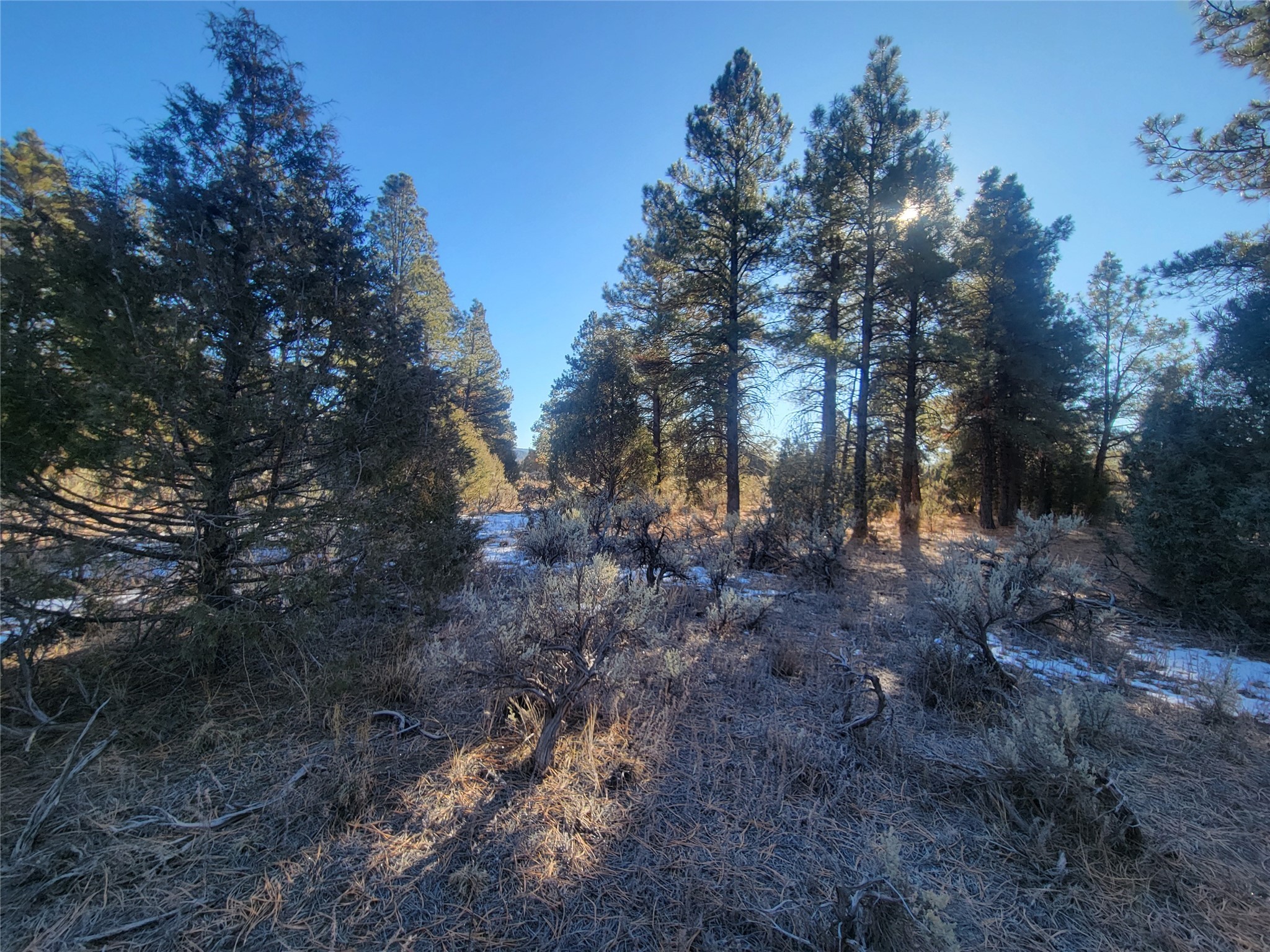 Hwy 64, Tierra Amarilla, New Mexico image 45