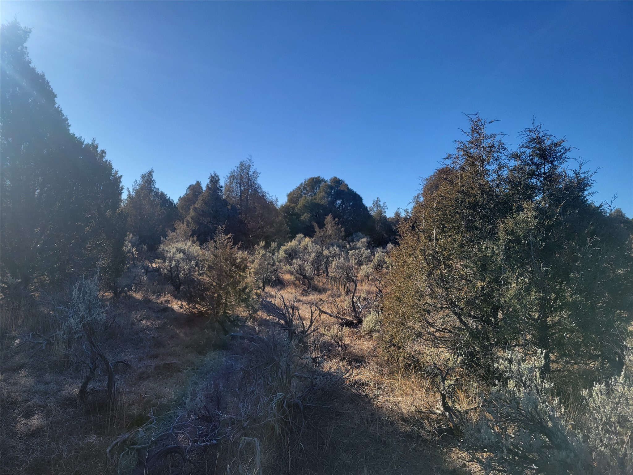 Hwy 64, Tierra Amarilla, New Mexico image 20